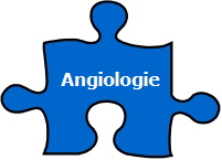 Angiologie